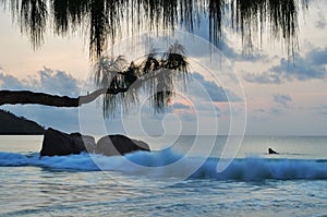 Anse Lazio beach, Seychelles islands