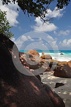 Anse Lazio, exotic beach with palm trees in praslin island, seychelles