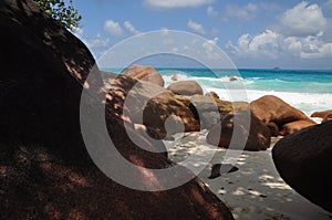 Anse Lazio, exotic beach with palm trees in praslin island, seychelles