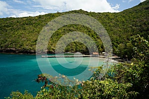 Anse Noire in Martinique photo