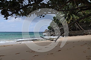 Anse Soleil beach, in Mahe island, Seychelles