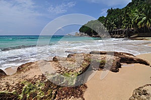 Anse Soleil beach, in Mahe island, Seychelles