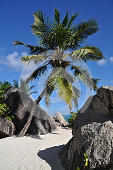Anse Source d` Argent