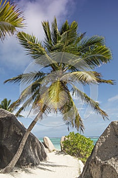 Anse Source d'Argent beach, La Digue Island, Seychelles