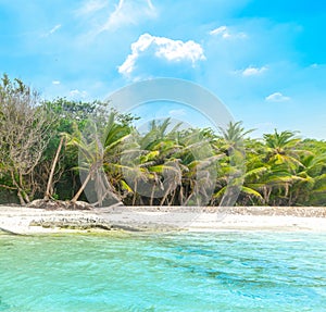 Anse Source d\'Argent beach seen from the water