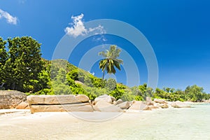 Anse Takamaka beach on Praslin Island in Seychelles