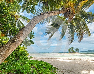 Anse Union beach on a sunny day