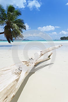 Anse Volbert, Seychelles