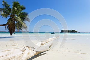 Anse Volbert, Seychelles