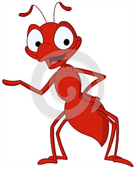 Ant