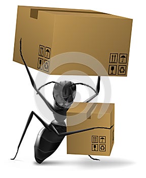 Ant cardboard box deliver or shipping