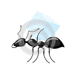 Ant carrying food isolated on white background. Bug carrying cube of sugar and walking to the anthill