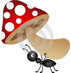 Ant carrying mushroom