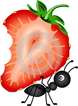 Ant Carrying Strawberry Sliced
