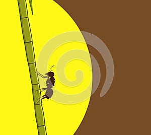 Ant Climbing on Sugarcane