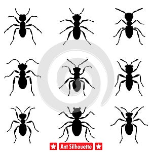 Ant Colony Silhouette Set Diverse Vector Designs for Naturethemed photo