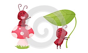 Ant doing various actions set. Happy funny insects cartoon characters vector illustration