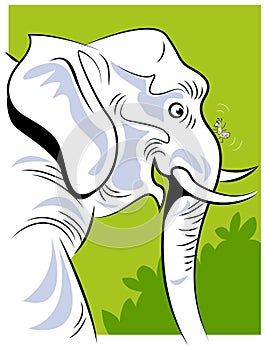 An ant and an elephant