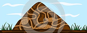 Ant family moving in tunnels anthill. Home of insects which life into hill. Vector cartoon close-up illustration
