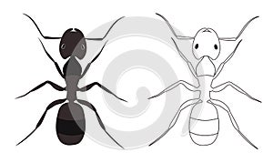 Ant or Formicidae Vector Illustration