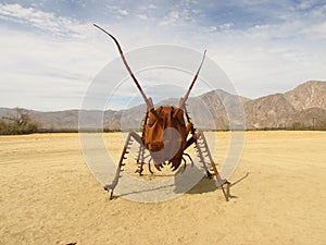 Ant at Galleta Meadows in Borrego Springs California photo