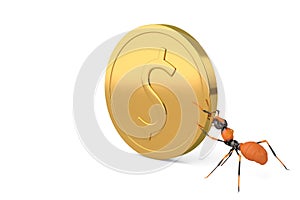 An ant with gold coins.3D illustration.