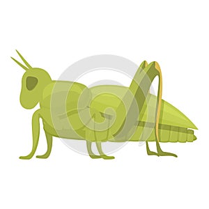 Ant grasshopper icon cartoon vector. Jump small