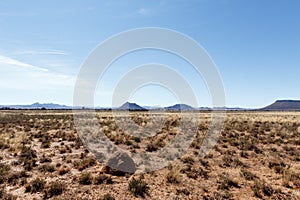 Ant hill with Mountains, blue sky and yellow fields - Cradock