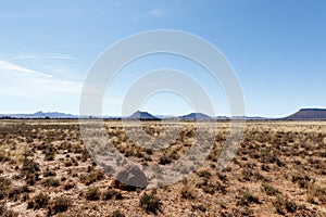 Ant hill with Mountains, blue sky and yellow fields - Cradock photo
