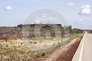 Ant Hills along the asphalt road in Australia Northern Territory
