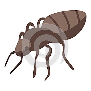 Ant icon, isometric style