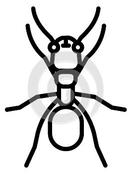 Ant icon. Linear insect symbol. Entomology logo photo