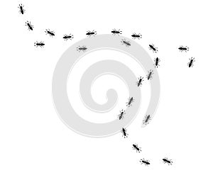 Ant icon vector illustration design