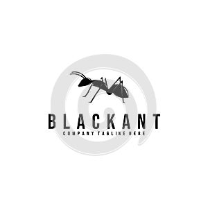 ant logo vector illustration design, black ant
