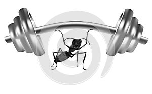 ant power strong insect lift heavy weight