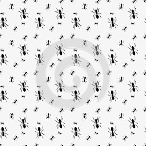 Ant seamless pattern. Black and white vector seamless pattern with ants. Animal background