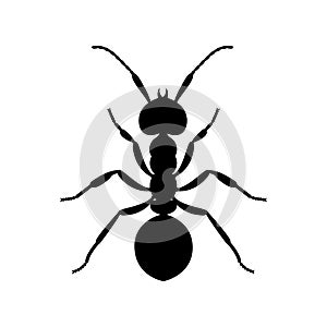 Ant. The silhouette of an ant. An image of an insect in a cartoon style. Vector illustration isolated on a white