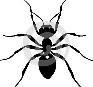 Ant silhouette isolated on white background vector illustration. Ant black silhouette. Vector illustration.