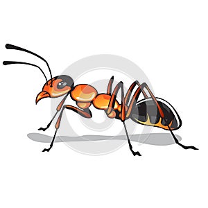 Ant vector art