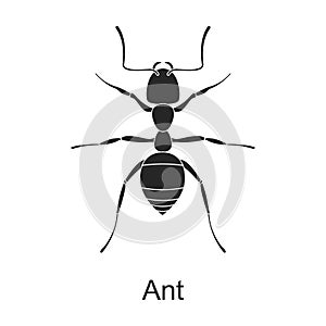 Ant vector black icon. Vector illustration pest insect ant on white background. Isolated black illustration icon of pest