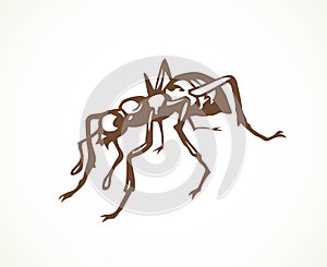 Ant. Vector drawing