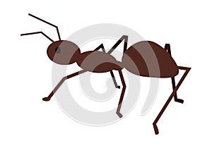 Ant Vector Illustration in Flat Style Design