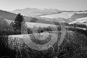 Vysoké Tatry