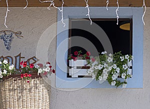 Window with red and white flowers of a typical house in Antagnod, Valle d`Aosta photo