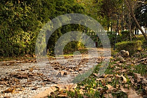 Antalya KÃ¼ltÃ¼r Park in Autumn Light
