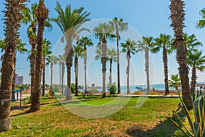 ANTALYA, TURKEY: Beautiful park with palm trees and which leads to Lara beach in Antalya.