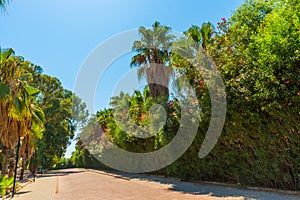 ANTALYA, TURKEY: Beautiful park with palm trees and which leads to Lara beach in Antalya.