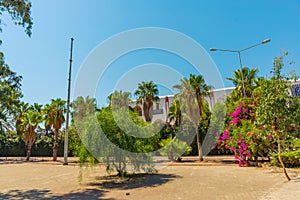 ANTALYA, TURKEY: Beautiful park with palm trees and which leads to Lara beach in Antalya.