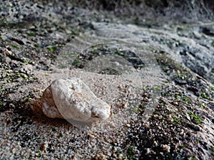 Antara batu, karang, pasir dan pantai photo