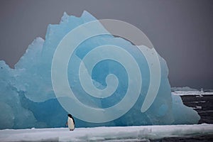 Antarctic colours lonesome